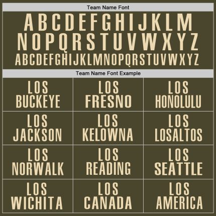 Custom Olive Cream Performance Salute To Service Golf Polo Shirt - Image 4